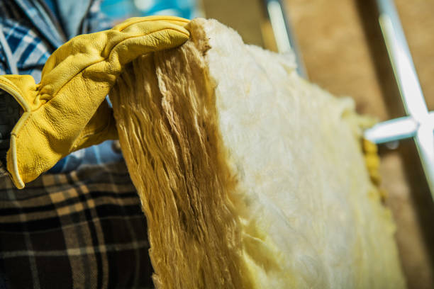 Best Eco-Friendly Insulation in Cleveland Heights, OH